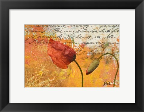 Framed Poppies Composition II Print