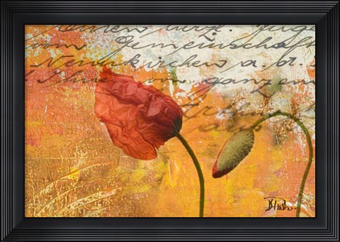 Framed Poppies Composition II Print