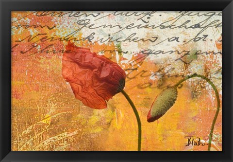 Framed Poppies Composition II Print