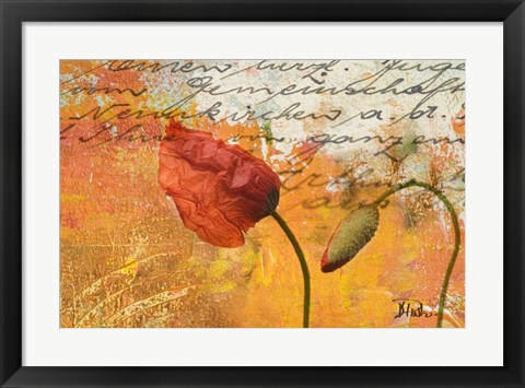 Framed Poppies Composition II Print