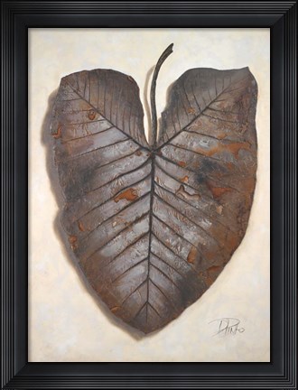 Framed Mafafa I Print