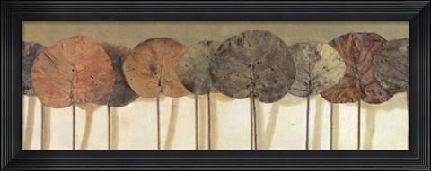 Framed Leaves Show II Print