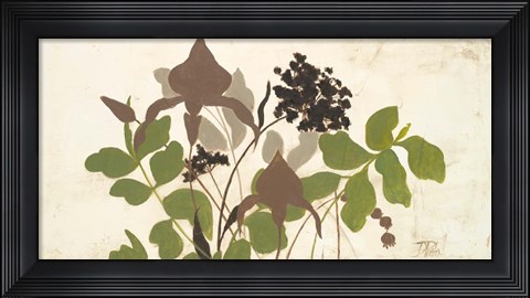 Framed Spring Shadows I Print