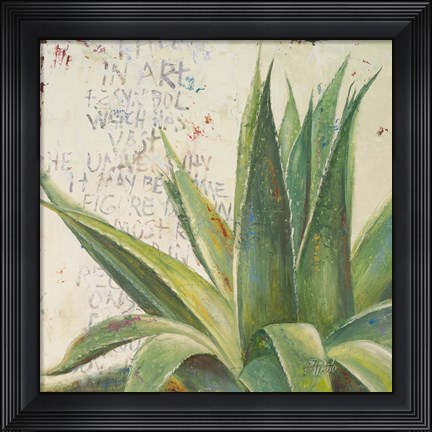 Framed Aloe I Print