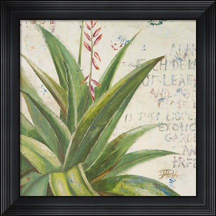 Framed Aloe II Print