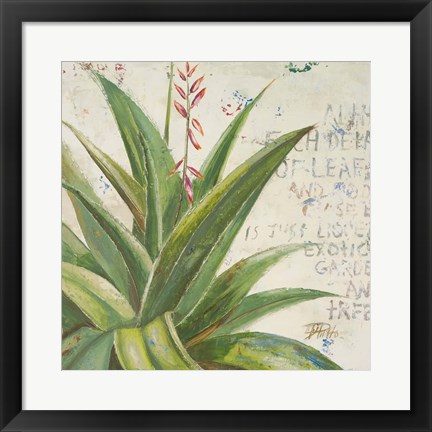 Framed Aloe II Print