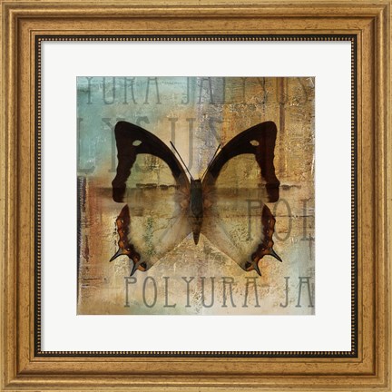 Framed Polyurabutterfly I Print