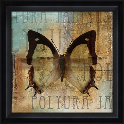 Framed Polyurabutterfly I Print