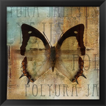 Framed Polyurabutterfly I Print