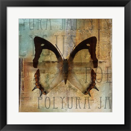 Framed Polyurabutterfly I Print