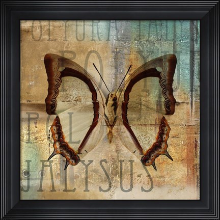 Framed Polyurabutterfly II Print