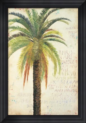 Framed Palms &amp; Scrolls II Print