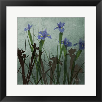 Framed Blue Irises I Print