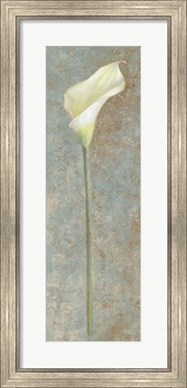 Framed Calla Lily I Print