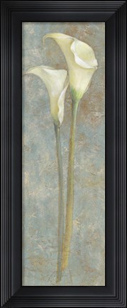 Framed Calla Lily II Print
