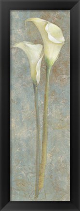 Framed Calla Lily II Print