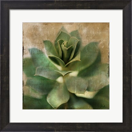 Framed Succulent I Print