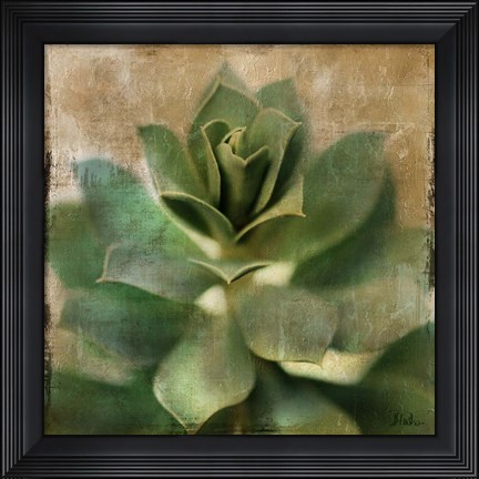 Framed Succulent I Print