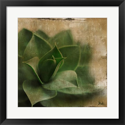 Framed Succulent II Print