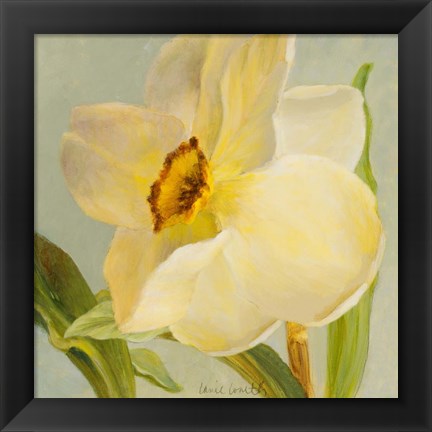 Framed Daffodil Sky II Print