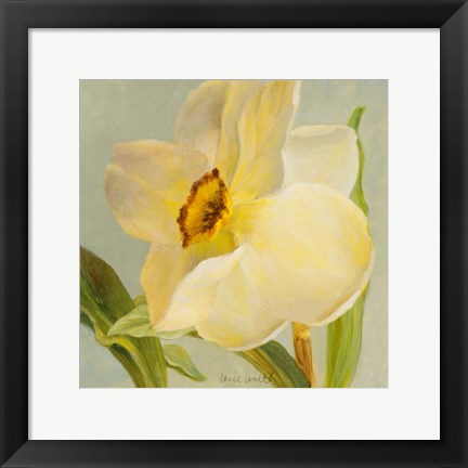 Framed Daffodil Sky II Print