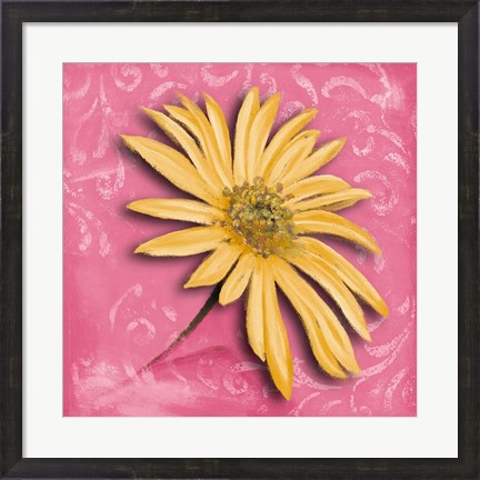 Framed Blooming Daisy II Print