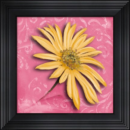 Framed Blooming Daisy II Print