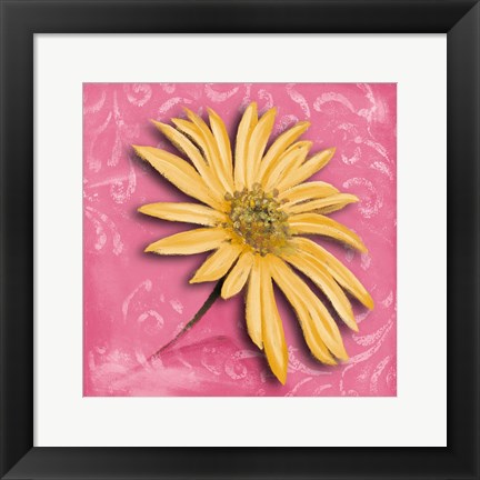 Framed Blooming Daisy II Print