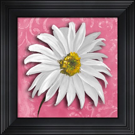Framed Blooming Daisy III Print
