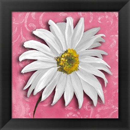 Framed Blooming Daisy III Print