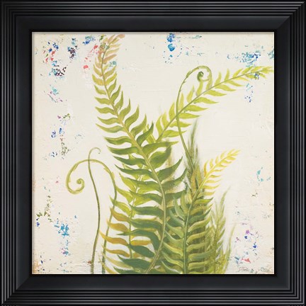 Framed Nice Ferns I Print