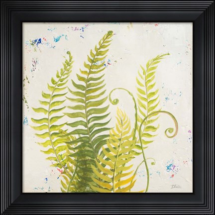 Framed Nice Ferns II Print