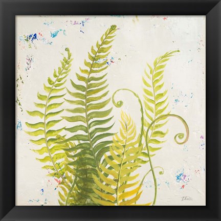 Framed Nice Ferns II Print