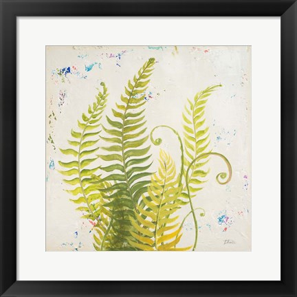 Framed Nice Ferns II Print