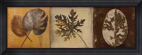 Framed Natural Panel I Print