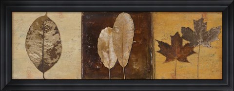 Framed Natural Panel II Print