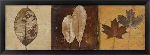 Framed Natural Panel II Print