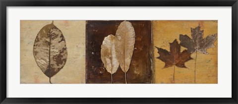 Framed Natural Panel II Print