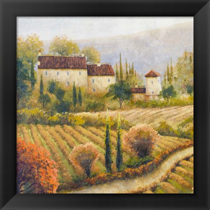 Framed Tuscany Vineyard I Print