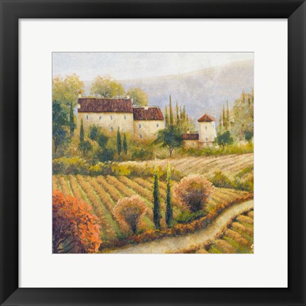 Framed Tuscany Vineyard I Print