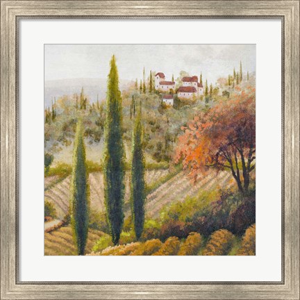 Framed Tuscany Vineyard II Print