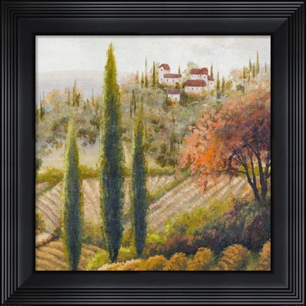 Framed Tuscany Vineyard II Print