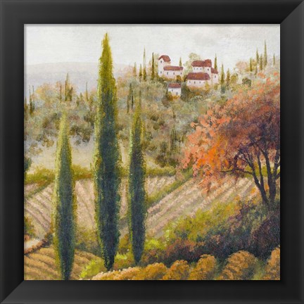 Framed Tuscany Vineyard II Print