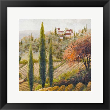 Framed Tuscany Vineyard II Print