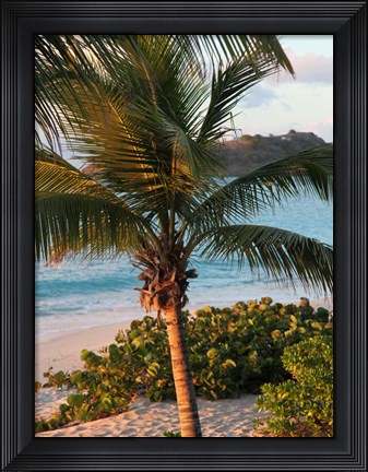 Framed Sunset Palms I Print