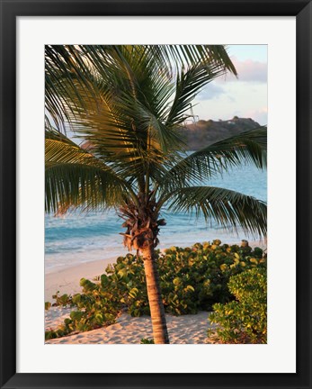 Framed Sunset Palms I Print