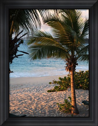 Framed Sunset Palms II Print
