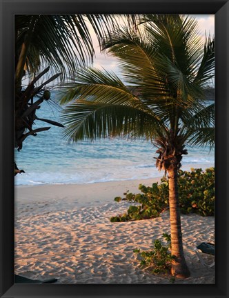 Framed Sunset Palms II Print