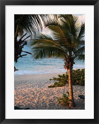 Framed Sunset Palms II Print