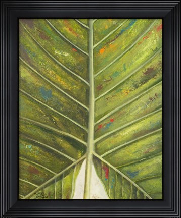 Framed Green Zoom III Print